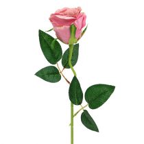 Deco rose Ø6cm gammel rose L50cm 1p