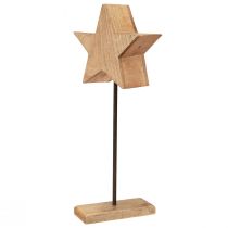 gjenstander Dekorativt stjernetre på pinnebunn grønnbrun 20x9,5x50cm