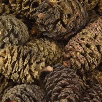 gjenstander Dekorative kongler av or, naturlige til dekorasjon, 3-4 cm, 200 g