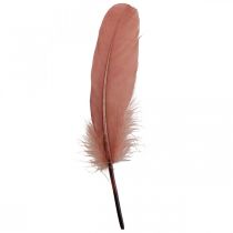 Dekorative fjær for håndverk Dusky rosa ekte fuglefjær 20g