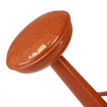 gjenstander Dekorativ vannkanne i metall i landlig stil, oransjebrun, 26 cm, 5 l - Allsidig bruk som blomsterkasse og dekorativ kanne