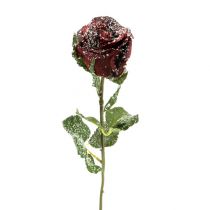 gjenstander Deco rose snøsnød rød Ø6cm 6stk