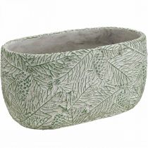 Dekorativ skål keramisk oval grønn hvit grå grangrener L22,5cm