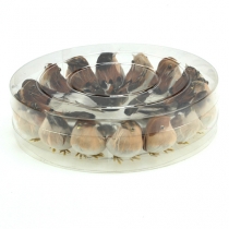 gjenstander Dekorfugler 9cm på wire 16 stk