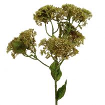 Dekorativ gren sedum plante grønn 58cm