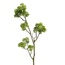 Dekorativ gren grønn 80cm
