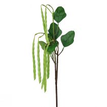 gjenstander Dekorativ gren bønnegren kunstplante grønn 68cm