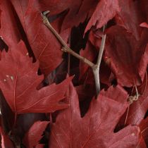 gjenstander Dekorative grener lønneblader dekorative lønneblader rød 50-60cm 100g