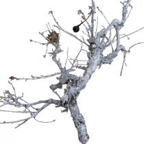 gjenstander Deco greiner bonsai tre Deco greiner vasket hvit 800g
