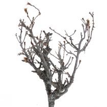 Deco greiner bonsai tre Deco greiner 15-30cm 650g