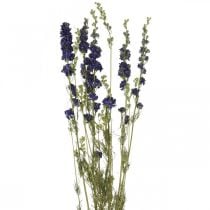 Tørket delphinium, tørr blomsterdekor, delphinium blå L64cm 25g