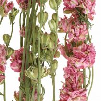 Tørket blomst delphinium, delphinium rosa, tørkede blomster L64cm 25g