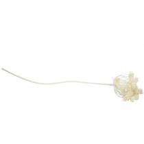 gjenstander Dill hvit snødde 117cm