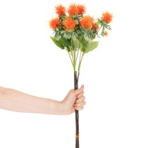 gjenstander Kunstig oransje saflor som kunstig blomst til vaser og dekorasjon, 55 cm, 4 stk.