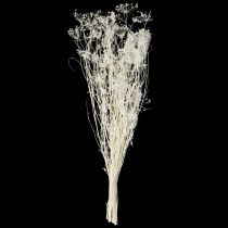 gjenstander Tørkede skjermblomster (Umbellifera) hvite 70-80 cm 150 g