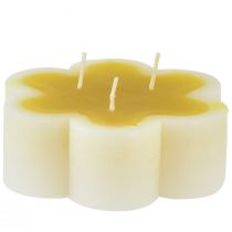Tre-veke lys dekorativt blomsterlys gul hvit Ø11,5cm H4cm