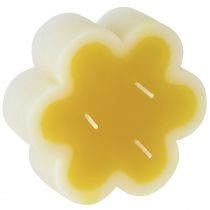 gjenstander Tre-veke lys dekorativt blomsterlys gul hvit Ø11,5cm H4cm
