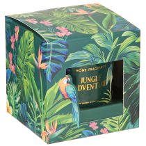 gjenstander Duftlys i glassbeholder Agurk-eukalyptuslys Grønt Ø7cm