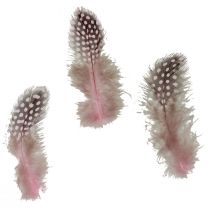 gjenstander Ekte perlehønsfjær rosa med prikker 4-12cm 100stk