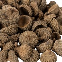 gjenstander Naturlige eikenøtthatter, dekorative skåler til høst og advent, 2 cm, 300 g
