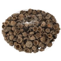 gjenstander Naturlige eikenøtthatter, dekorative skåler til høst og advent, 2 cm, 300 g