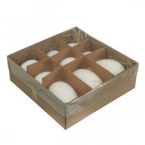 gjenstander Svaneegg &amp; kyllingegg blanding utblåste egg hvit 5,5/8 cm 9 stk.
