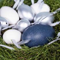 gjenstander Emu egg naturlig 12cm - 14cm 1p