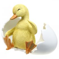 gjenstander Klekket kylling, andefigur, andunge i egg H10cm B12,5cm