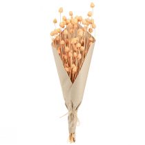 gjenstander Jordbærtistler tørre dekorasjonstistler i laks 55cm 100g