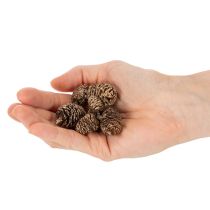 gjenstander Alderkongler, naturprodukt til dekorasjon og håndverk, gull, 3 cm, 300 g