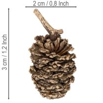 gjenstander Alderkongler, naturprodukt til dekorasjon og håndverk, gull, 3 cm, 300 g