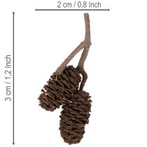 gjenstander Naturlige orkongler, løse, til pynt, 3 cm, 300 g, naturbrun.