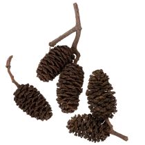 gjenstander Naturlige orkongler, løse, til pynt, 3 cm, 300 g, naturbrun.