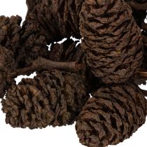 gjenstander Naturlige orkongler, løse, til pynt, 3 cm, 300 g, naturbrun.