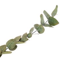 gjenstander Konserverte dekorative grener og blader av eukalyptus, rund tørket dekorasjon, grønn, 150 g