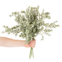 gjenstander Kunstig eukalyptusgren, dekorativ gren til vaser og buketter, 49 cm, 4 stk.