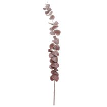 gjenstander Eukalyptusgrener, konservert eukalyptus, tørkede blomster, røde, 75 cm, 150 g
