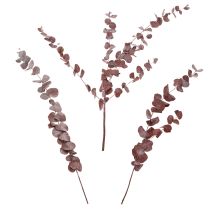 gjenstander Eukalyptusgrener, konservert eukalyptus, tørkede blomster, røde, 75 cm, 150 g