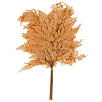 gjenstander Oransje konserverte bregnedekorasjon 45 cm 10 deler Hjemmedekorasjon DIY