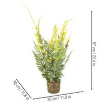 gjenstander Kunstig bregneplante med rotklump for dekorasjon av hjem og kontor, 57 cm