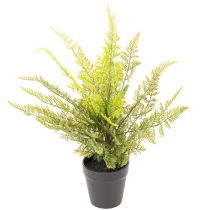 gjenstander Kunstig bregneplante i potte for innendørs bruk, 40 cm