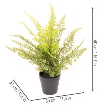 gjenstander Kunstig bregneplante i potte for innendørs bruk, 40 cm