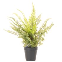 gjenstander Kunstig bregneplante i potte for innendørs bruk, 40 cm