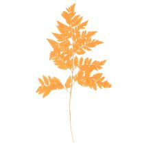 gjenstander Tørkede og konserverte bregneblader til blomsterdekorasjon og høstdekorasjon, 42 cm, 10 stk.