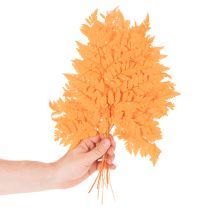 gjenstander Tørkede og konserverte bregneblader til blomsterdekorasjon og høstdekorasjon, 42 cm, 10 stk.