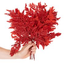 gjenstander Konserverte og fargede bregneblader, ekte bregne til høstarrangementer, 42 cm, 10 stk.