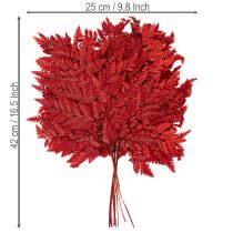 gjenstander Konserverte og fargede bregneblader, ekte bregne til høstarrangementer, 42 cm, 10 stk.