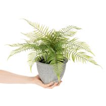 gjenstander Kunstig bregne i en blomsterpotte til stue og kontor, 35 cm