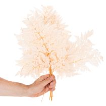 gjenstander Tørket bregnedekorasjon til vase 42 cm 10 stk