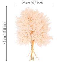 gjenstander Tørket bregnedekorasjon til vase 42 cm 10 stk